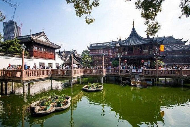 Shanghai in a Day: A Whirlwind Tour of the City's Highlights - Two hours under the trees in the Former French Concession