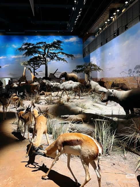 Shanghai: Natural Museum tickets with guide(optional) - What the $13 ticket really buys you