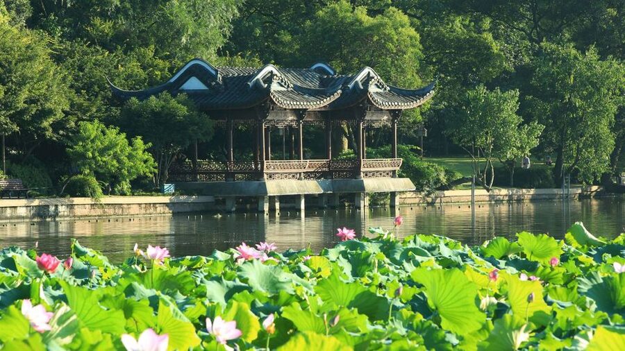 Shanghai: Private Guided Tour to Hangzhou by Bullet Train - Key Points at a Glance