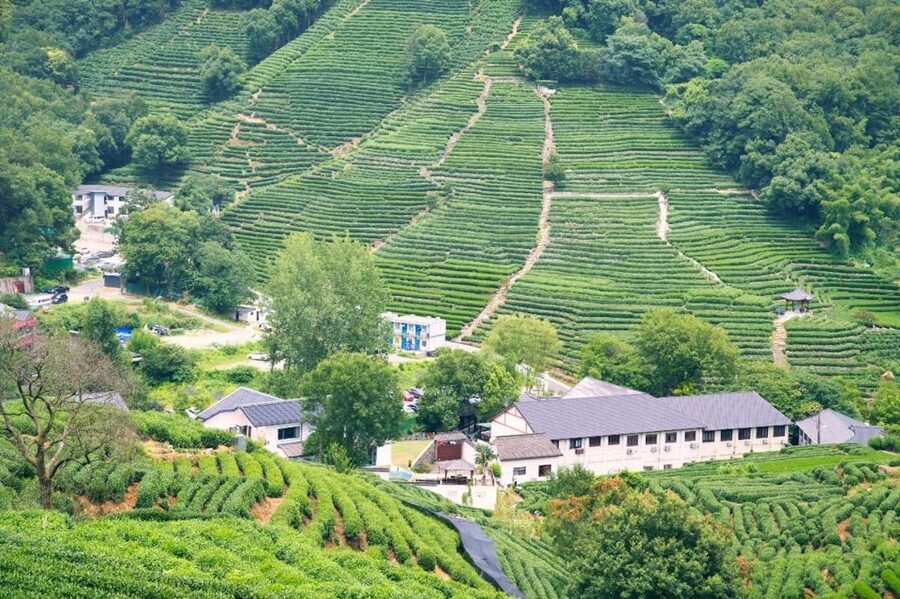 Shanghai: Private Guided Tour to Hangzhou by Bullet Train - Why Hangzhou Works So Well as a Day Trip