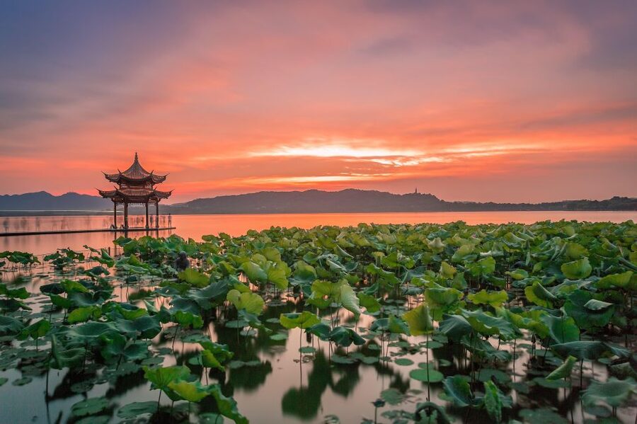 Shanghai: Private Guided Tour to Hangzhou by Bullet Train - The Bullet Train Makes the Distance Manageable
