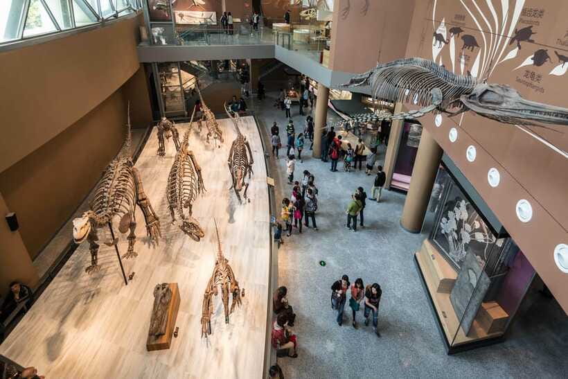 Shanghai: Private Tour of the Shanghai Museum - Other galleries and the value of a flexible route
