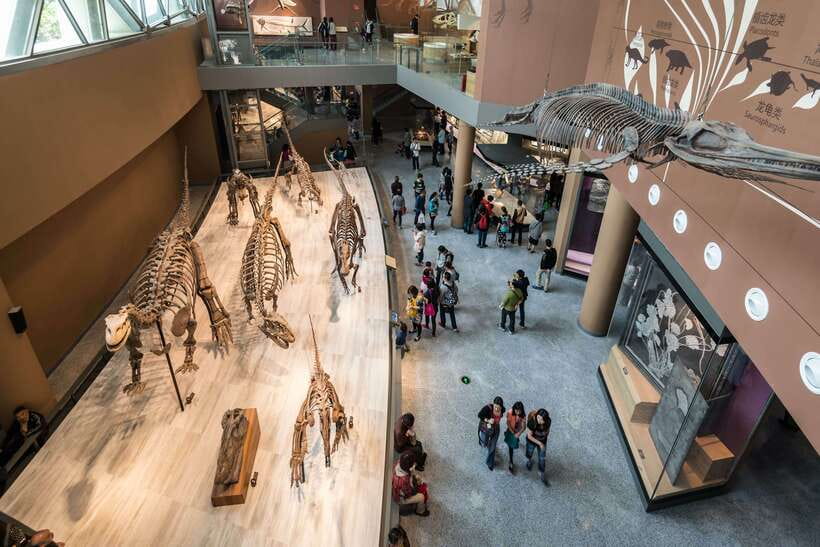 Shanghai: Private Tour of the Shanghai Museum - Meeting your guide at the East Wing