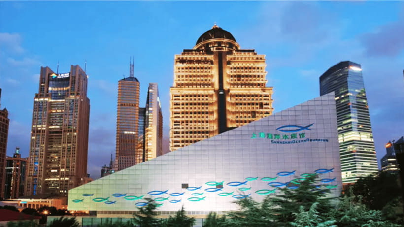 Shanghai: The Marine Wonders at Shanghai Ocean Aquarium - The underwater tunnel is the reason to make the trip