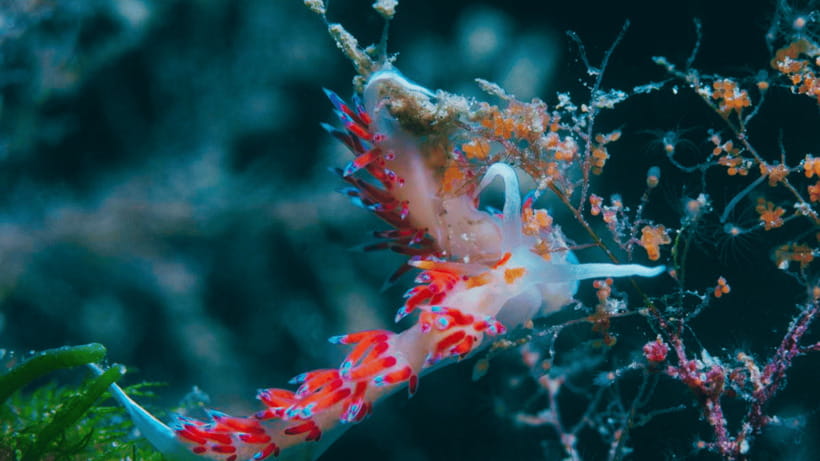 Shanghai: The Marine Wonders at Shanghai Ocean Aquarium - Conservation lessons that give the visit more purpose