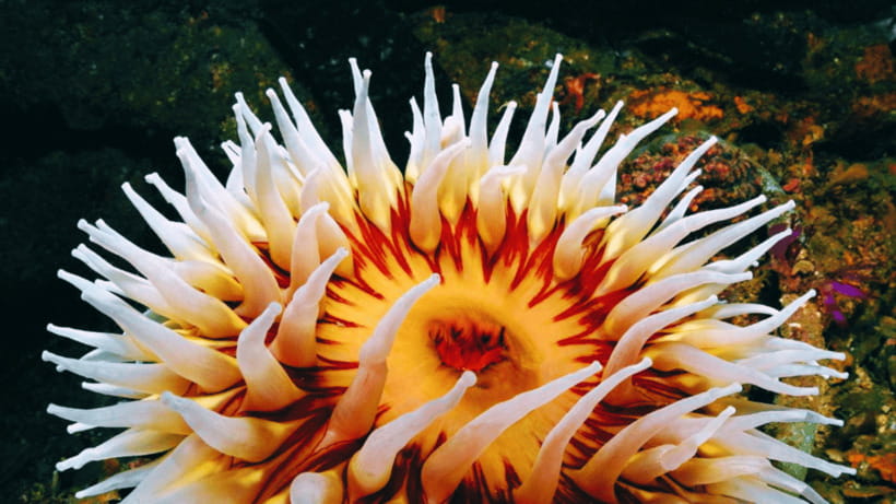 Shanghai: The Marine Wonders at Shanghai Ocean Aquarium - Booking details you should handle carefully