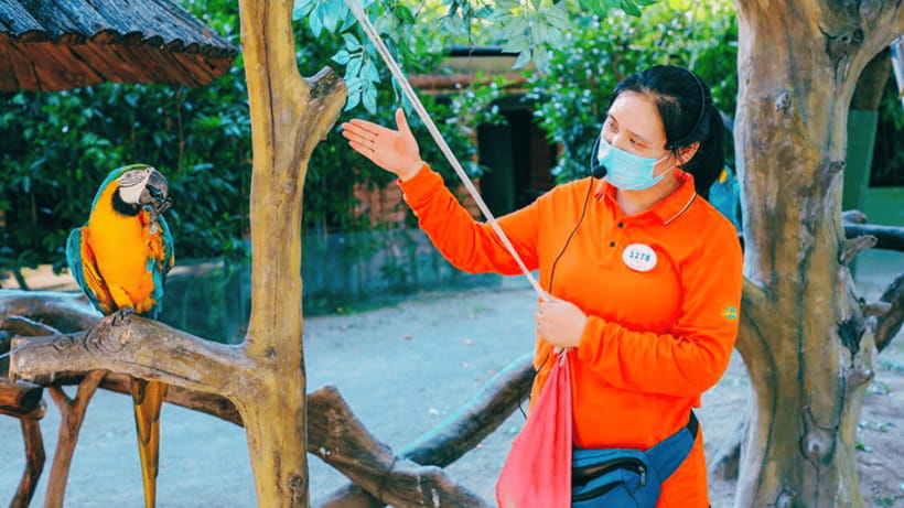 Shanghai: Wild Animal Park Ticket - Feeding, Camel Rides, and Other Paid Extras