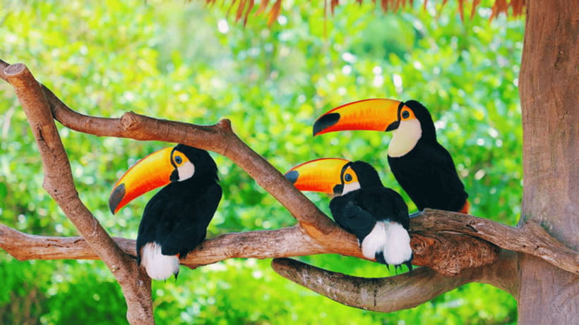 Shanghai: Wild Animal Park Ticket - Should You Book the Shanghai Wild Animal Park Ticket?