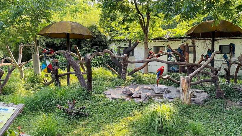 Shanghai: Zoo and Zhujiajiao Water Town Tour with Boat Ride - The drive to 1,700-year-old Zhujiajiao