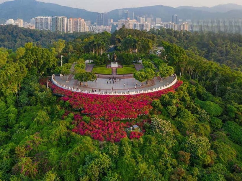 Shenzhen：8h City Walk & Future Experience Highlights Trip - Xin’an or Nantou Ancient City changes the mood