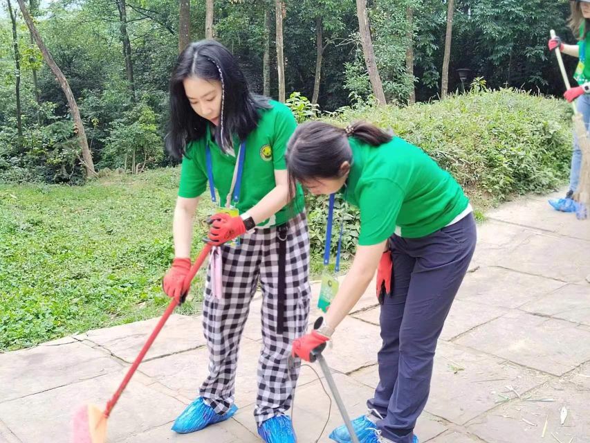 Sichuan: Big Panda Volunteer Day tour - What the $347 Price Really Covers