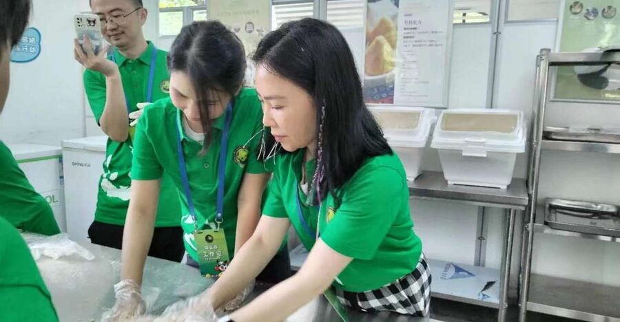 Sichuan: Big Panda Volunteer Day tour - Is the Work Suitable for You?