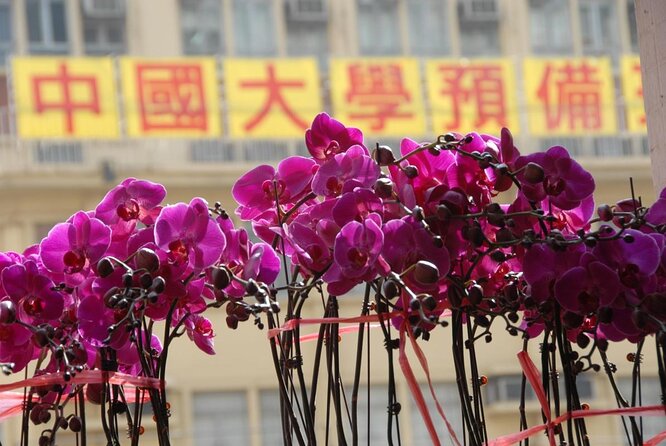 Small-Group Tour: Hong Kong Local Markets Hopper [PROMOTION] - Key points to know before booking