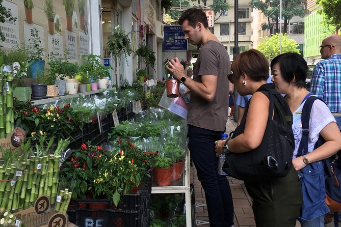 Small-Group Tour: Hong Kong Local Markets Hopper [PROMOTION] - Why this market walk works as a first look at Kowloon