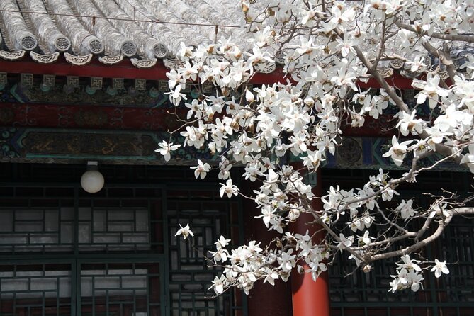 Summer Palace Ticket with optional Guided Tour - Why the Summer Palace works so well as a short Beijing visit