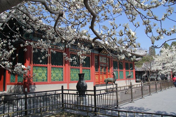 Summer Palace Ticket with optional Guided Tour - Hall of Benevolence and Longevity: where court business began
