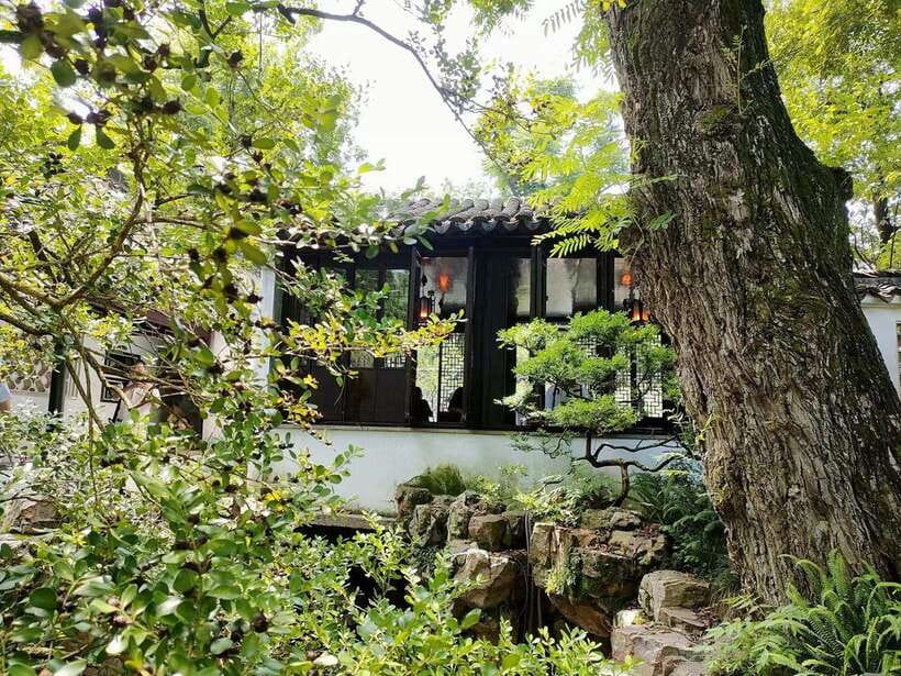 Suzhouand Zhouzhuang Private Guided Day Trip from Shanghai - The pace, comfort, and practical tradeoffs