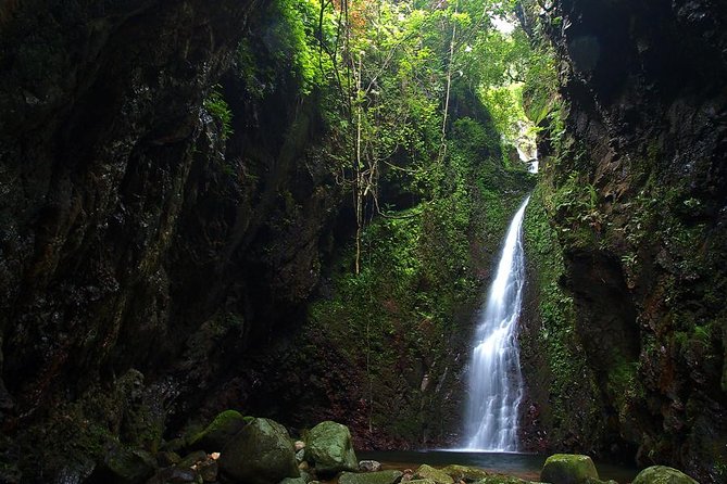 Tai Mo Shan Waterfall Adventure Hike - From Tai Wo Station to Tai Mo Shan’s forest