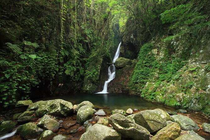 Tai Mo Shan Waterfall Adventure Hike - What the guides add to the walk