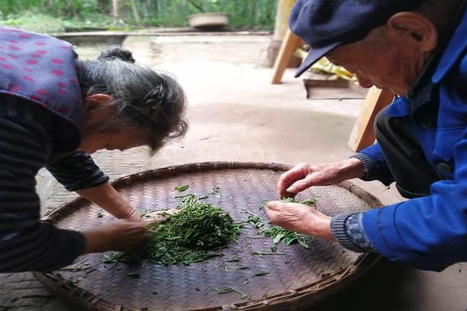 Tea Village in lost Town and Buddha 1 day tour - Jiajiang Tianfu Tea Plantation and the work behind your cup
