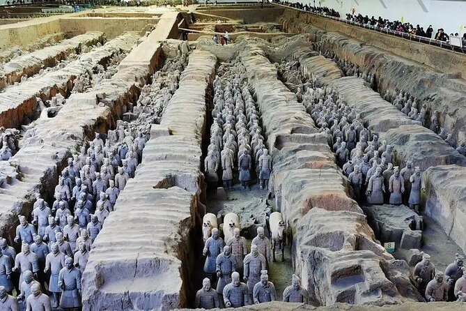Terra-cotta Warriors Entrance Ticket with Optional Guided Service - Airport and hotel transfers