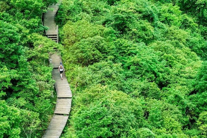 The Big Buddha & Lantau Island - Private Tour with Private Car - Shek Pik Reservoir and the quieter southern shore