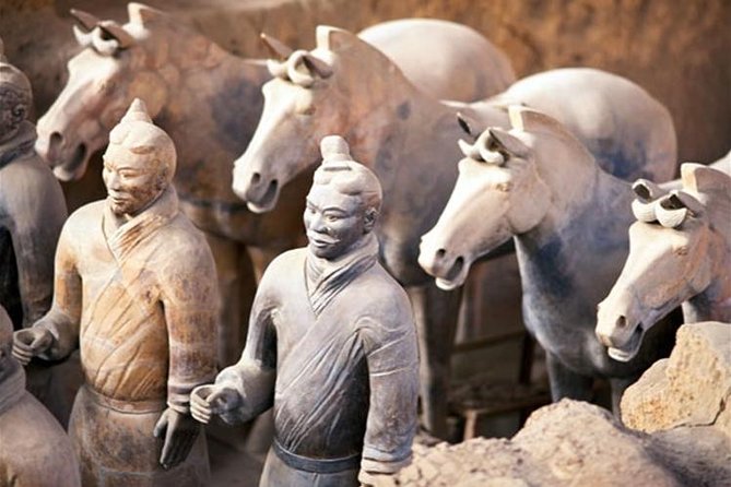 Three Day Xi'an Adventure private Tour with Mt.Hua - Day one: Terracotta Warriors and a quieter side of Xi’an