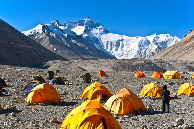 Tibet Tour 8 Days Lhasa to Everest Base Camp Small Group Tour - Day 2: Potala Palace, Jokhang Temple, and the Barkhor circuit