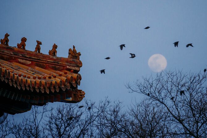 Top2 Beijing Forbidden City, Great Wall Flexible Private Tour OPT - Why this private Beijing day works well