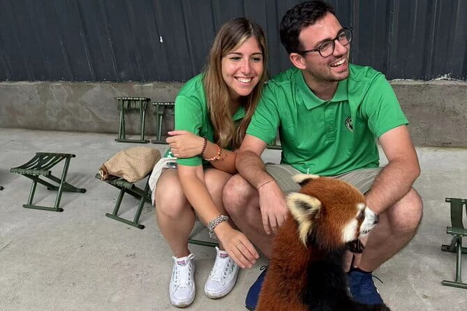 Unique One-Day Tour: Interactive Experience with Red Pandas - Key points at a glance