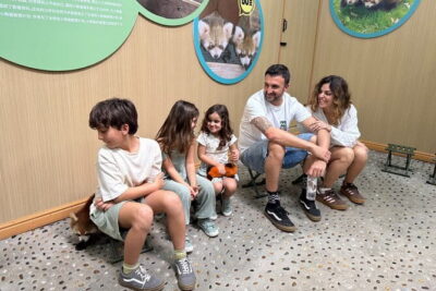 Unique One-Day Tour: Interactive Experience with Red Pandas
