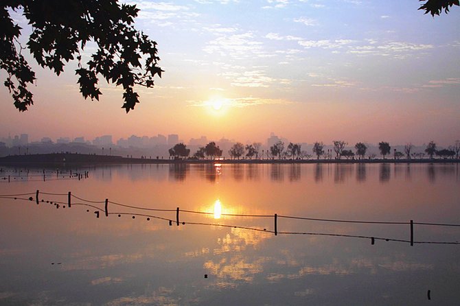 Unveil the Charm of Hangzhou - Half-Day Sightseeing Tour - Meijiawu and the making of Longjing tea