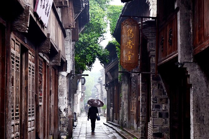Wuzhen and Xitang Water Town Private Full Day Trip from Shanghai with Lunch and Dinner - Starting from Shanghai at 9:30 a.m.