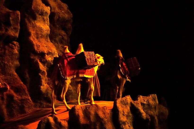 Xi'an Silk Road: Legend of Camel Bell Show Ticket w/Transfer - Who should book this experience?