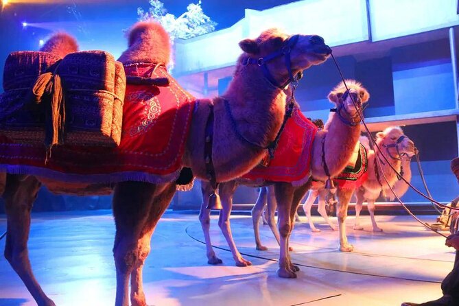Xi'an Silk Road: Legend of Camel Bell Show Ticket with Transfer - Key details before you book
