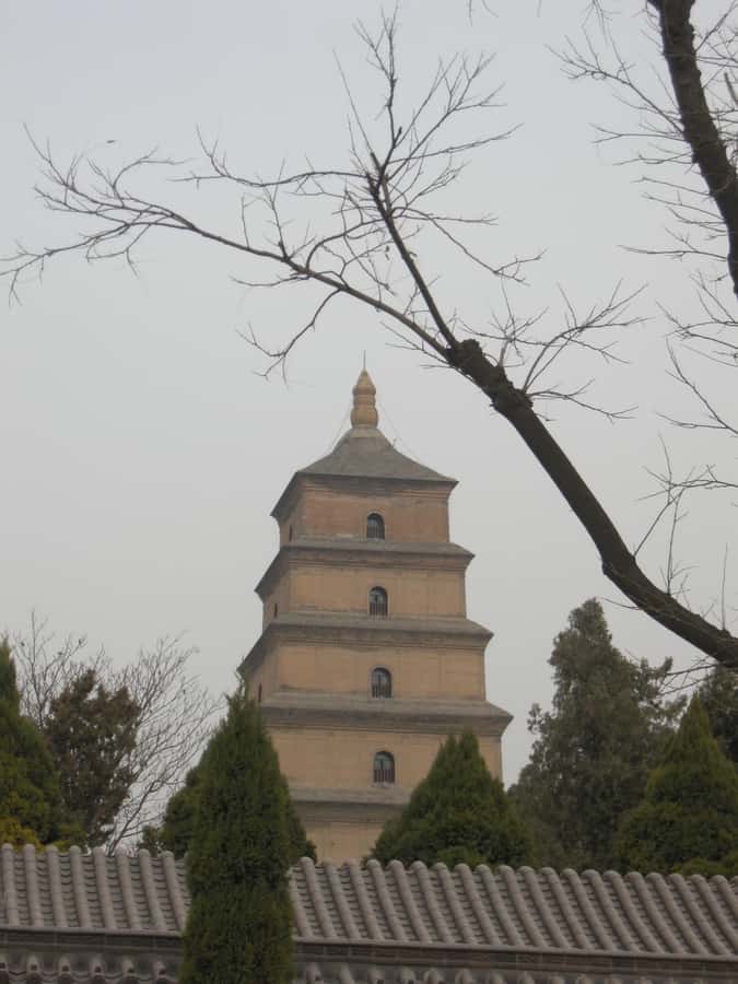 Xi'an: Terra-Cotta Warriors Entry with Optional Guide - Entering Pit No. 1, the Main Exhibition Hall