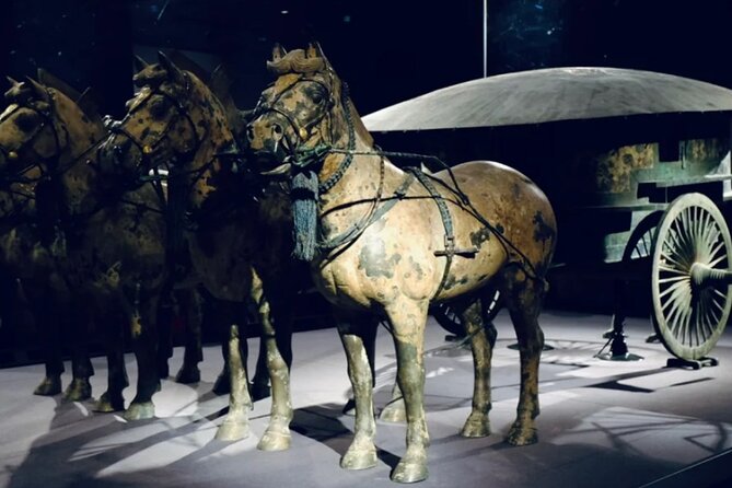 Xi an Terracotta Warriors tickets only - Booking and cancellation details