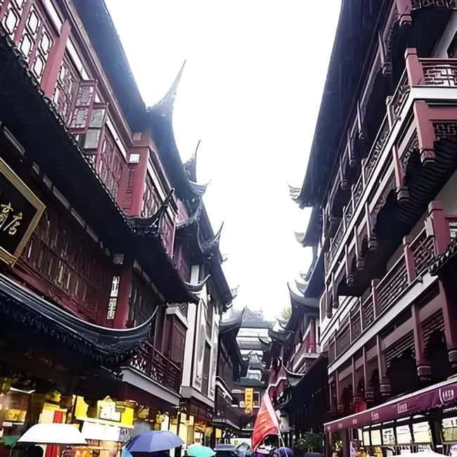 Yu Garden, Old Street, Bund & Zhujiajiao Water Town Bus Tour - The coach ride to Zhujiajiao