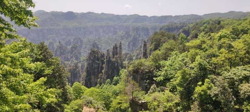 Zhangjiajie: National Forest Park 1-Day VIP Private Tour - Key points to know before you book