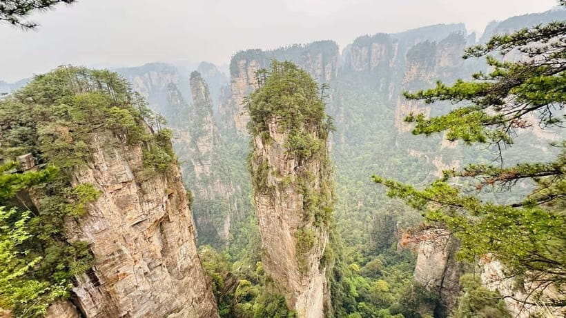 Zhangjiajie: National Forest Park 1-Day VIP Private Tour - Yuanjiajie brings the famous stone pillars close
