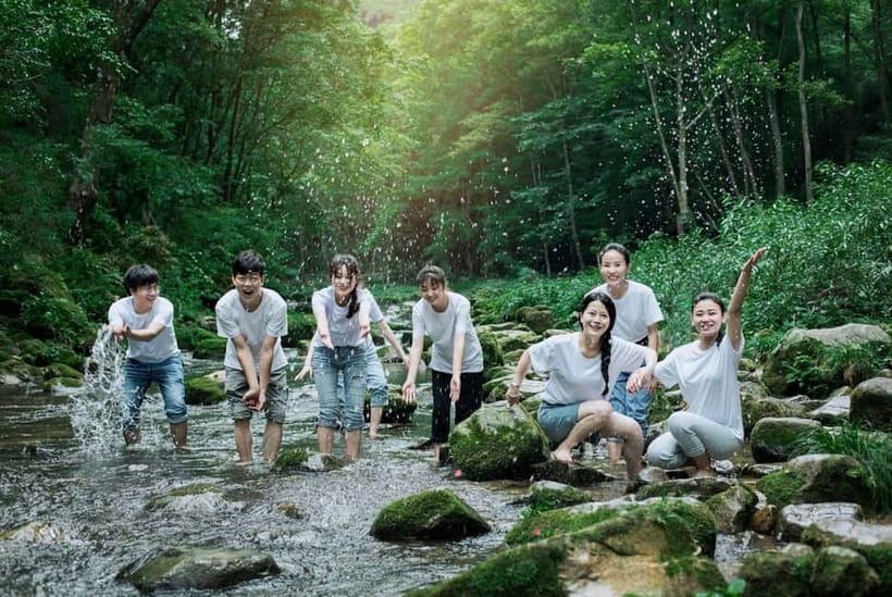 Zhangjiajie: National Forest Park 1-Day VIP Private Tour - The Bailong Elevator is both transport and spectacle