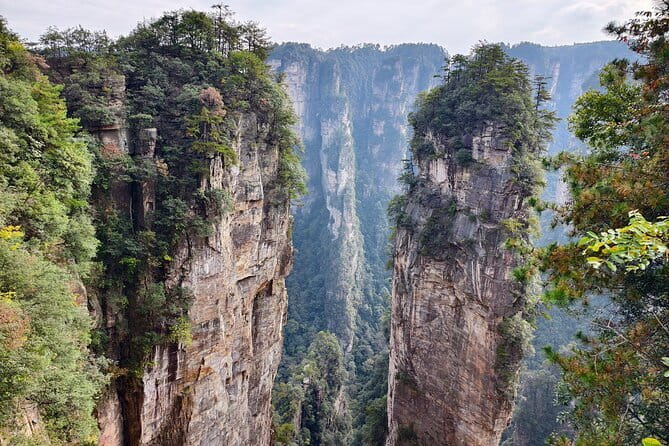 Zhangjiajie National Forest Park Admission Ticket - Key points to know before booking