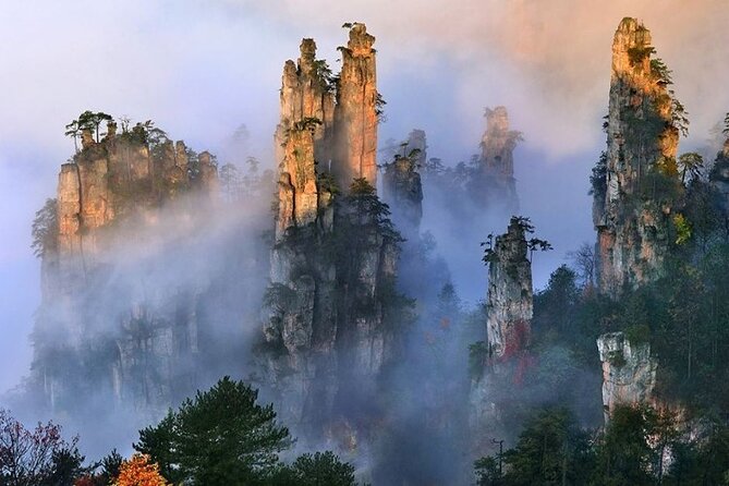 Zhangjiajie National Forest Park Entrance Ticket - Key points before you buy