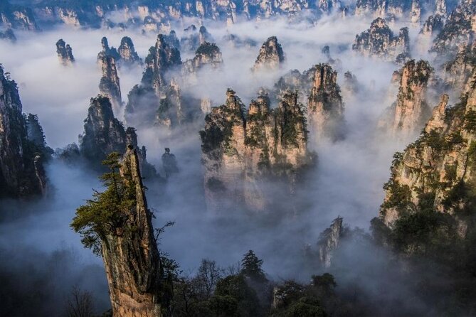 Zhangjiajie National Forest Park Entrance Ticket - Why the Avatar connection is only the beginning