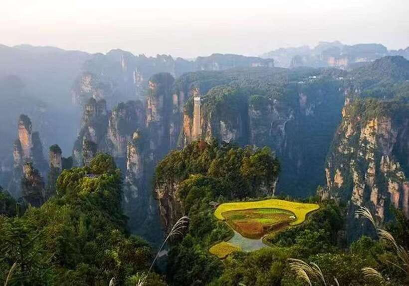 Zhangjiajie National Forest Park: Private Tour and Transport - Riding the Bailong Elevator up a 326-meter cliff