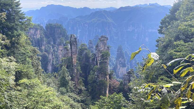 Zhangjiajie National Forest Park: Private Tour and Transport - Tianzi Mountain at 1,262 meters