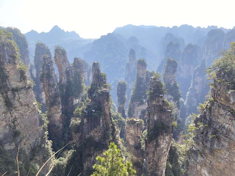 Zhangjiajie National Forest Park: Private Tour and Transport - Coming down by cable car
