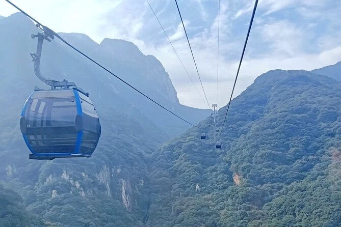 Zhengzhou Private Day Tour to Shaolin Temple and Longmen Grottoes - The guide makes the difference at both sites