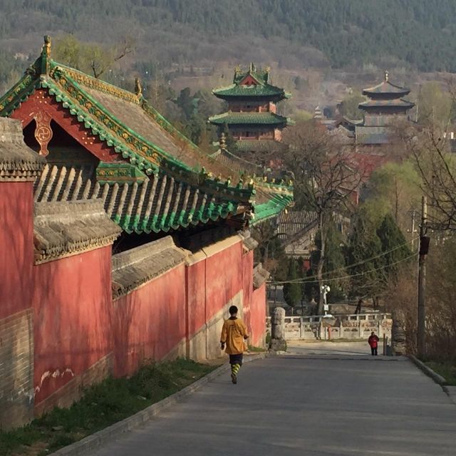 Zhengzhou: Private Tour to Shaolin Temple & Longmen Grottoes - Key points at a glance